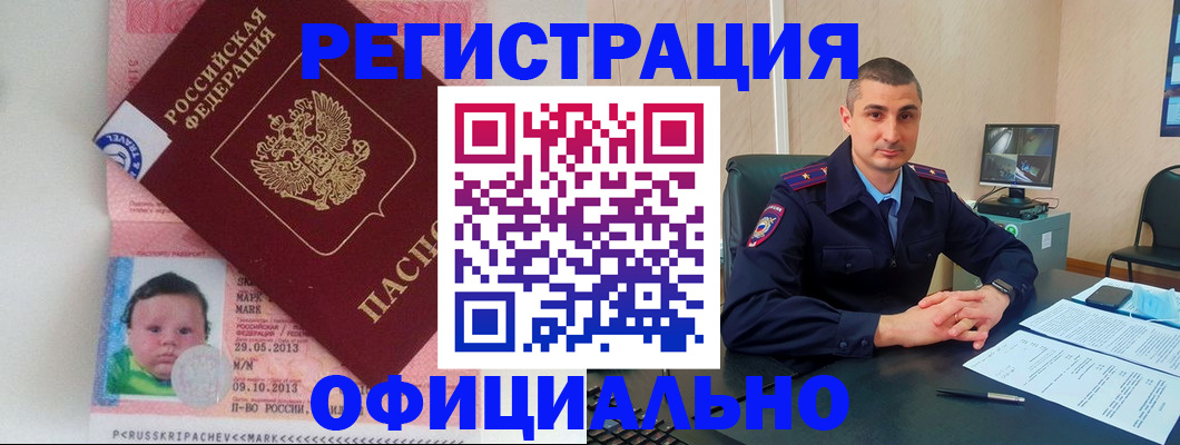 прописка поиск в Вельске